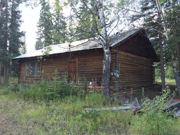 Mi 124.7 Glenn Hwy: Glenn Hwy, Tok, AK 99780